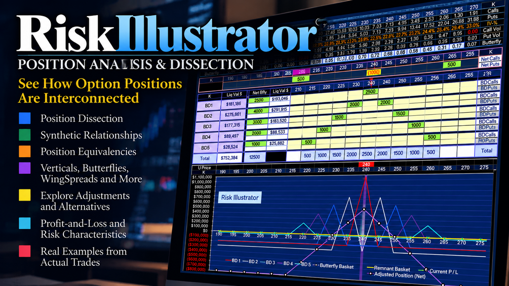 RiskIllustrator cover